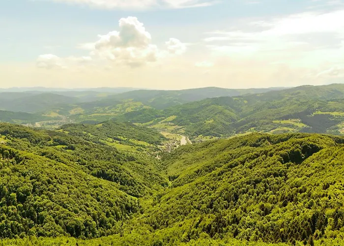 Relaks Pensjonat Rytro